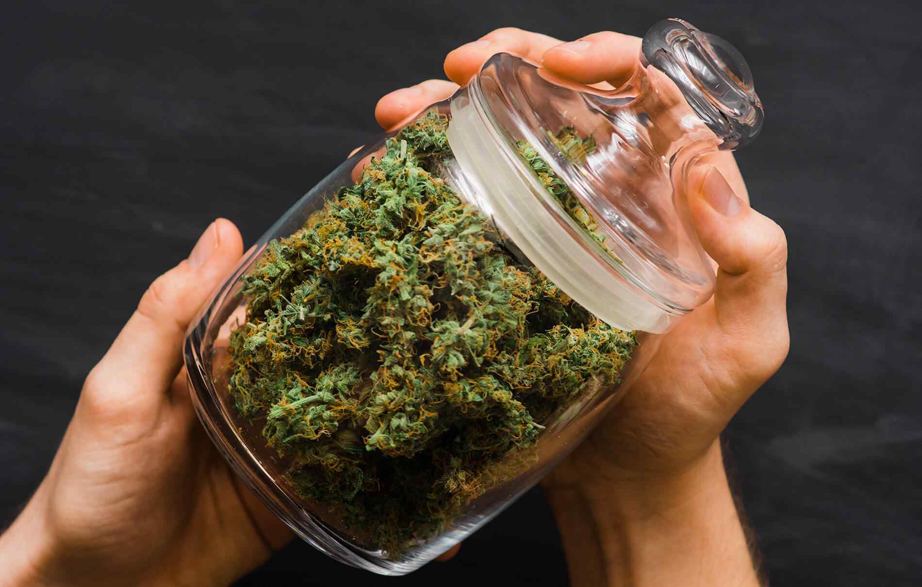 https://cannalawyers.org/wp-content/uploads/2018/12/inner_service_02.jpg